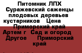 Питомник ЛПХ Суражевский саженцы плодовых деревьев, кустарников › Цена ­ 800 - Приморский край, Артем г. Сад и огород » Другое   . Приморский край